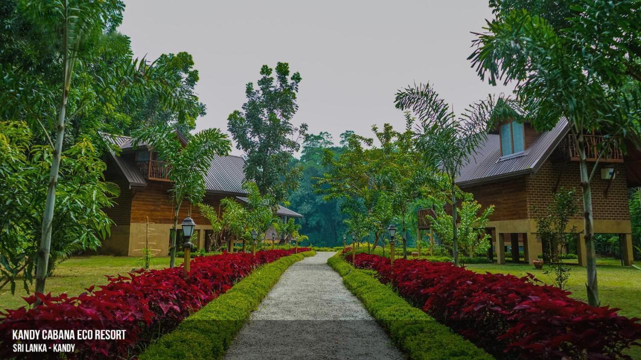 Kandy Cabana Buitenkant foto